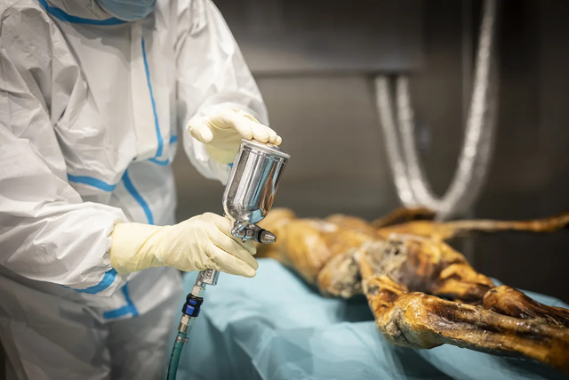 An expert carefully humidifies Ötzi’s mummy to preserve this remarkable artifact at the South Tyrol Museum of Archaeology. (Credit: South Tyrol Museum of Archaeology/Marion Lafogler)