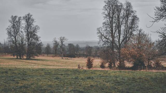 An unusual bone found at an ancient Roman quarry in Surrey, England, hints at its possible use in a fertility ritual, according to researchers. (Credit: Elliot via Unsplash)