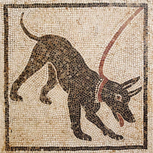 Another mosaic featuring a stylized depiction of a dog, showcasing the artistic representation of domestic animals in ancient Pompeian households.