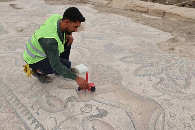 Archaeologists have meticulously excavated and preserved the mosaic, unveiling its complete splendor while protecting its delicate features. (Credit: IHA photo)