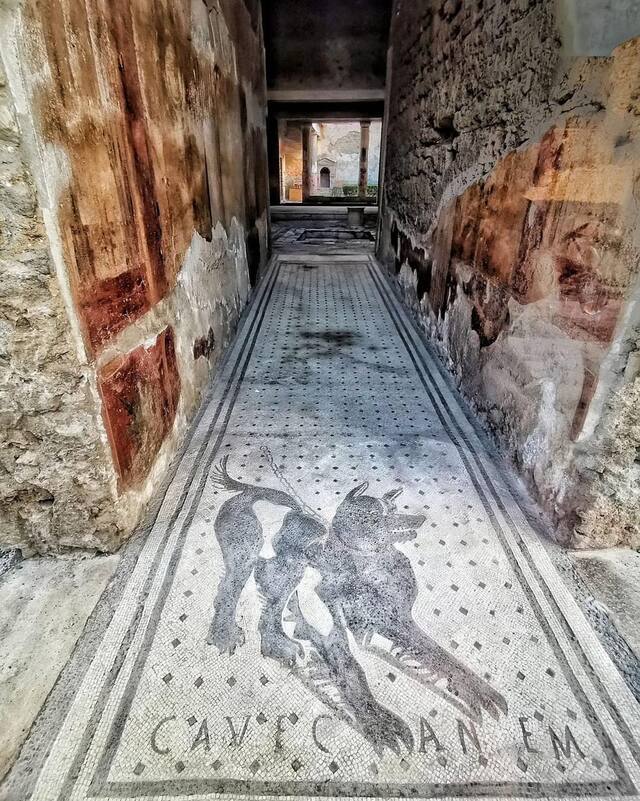 Cave Canem: Ancient Symbols and Modern Solutions in Pompeii