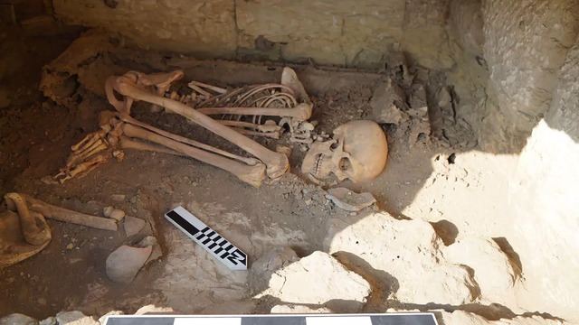 Dating back to the Second Dynasty, around 4,800 years ago, this burial features a crouching individual encased in the remnants of a wooden box. (Credit: Egyptian Ministry of Tourism & Antiquities)