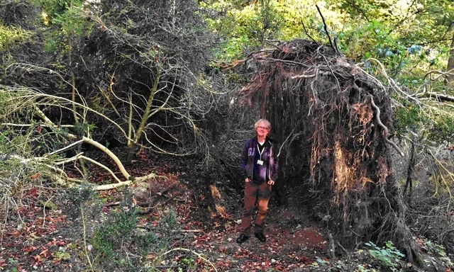 David Jacques at Blick Mead, a site revealing evidence of the earliest known settlement near Stonehenge.