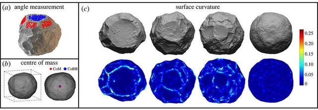 Detailed analysis of the angles and surface curvature of the spheroids illustrates the intentional crafting skills of hominins during the Acheulean period.