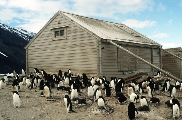 Discovered at Cape Adare, the fruitcake was found in what is believed to be Antarctica’s very first building.