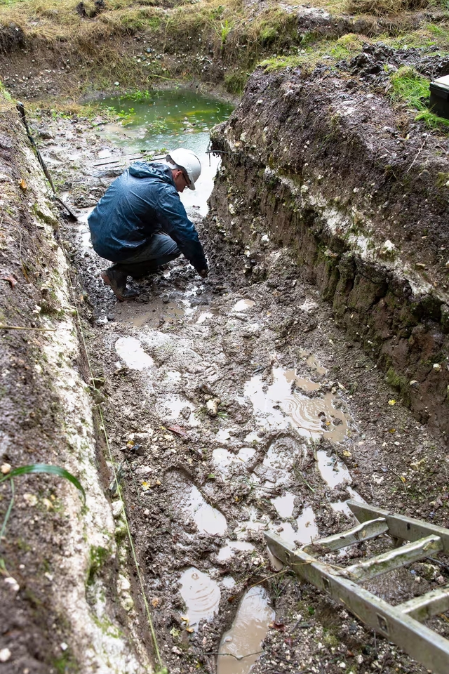 Excavations at Blick Mead have unearthed fascinating finds, including a charred toad’s leg, fish bones from trout or salmon, and the remains of cooked aurochs.