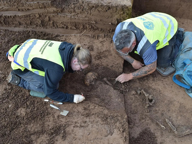 Excavators work to expose a human skeleton found in a lateral resting position. (Credit: LAD/AAB, Jasmin Rüdiger)