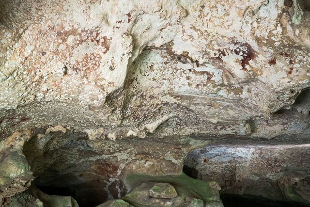 Inside Leang Karampuang cave, the walls are adorned with calcite clusters, adding a natural frame to the ancient art. (Image credit: BRIN Google Arts and Culture; (CC-BY 4.0 Deed))