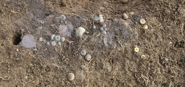 Once a stunning piece of jewelry, this necklace featured over 40 beads and 11 silver coins, with the Carolingian coins dating back to the early 9th century.