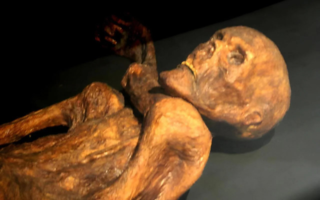 Ötzi the Ice Mummy: A glimpse into ancient history. (Credit: Wikimedia Commons, CC BY-SA 3.0)