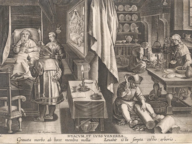 "Preparation and Use of Guayaco for Treating Syphilis," an engraving by Stradanus from 1590, displayed at the Museum Plantin-Moretus (CC0 1.0).