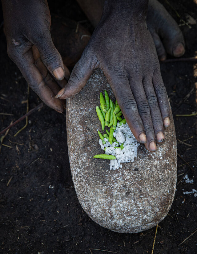 Preparing a traditional Suri meal using freshly ground chili peppers and salt on a stone slab, highlighting the simplicity and authenticity of tribal cooking methods (Credit: Jayne Mclean) 