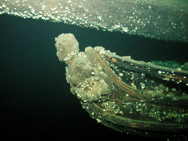 Quagga mussels, an invasive species in Lake Ontario, have begun overtaking historic shipwrecks. A 2008 photograph of the Hamilton's Diana figurehead reveals the extent of their impact.