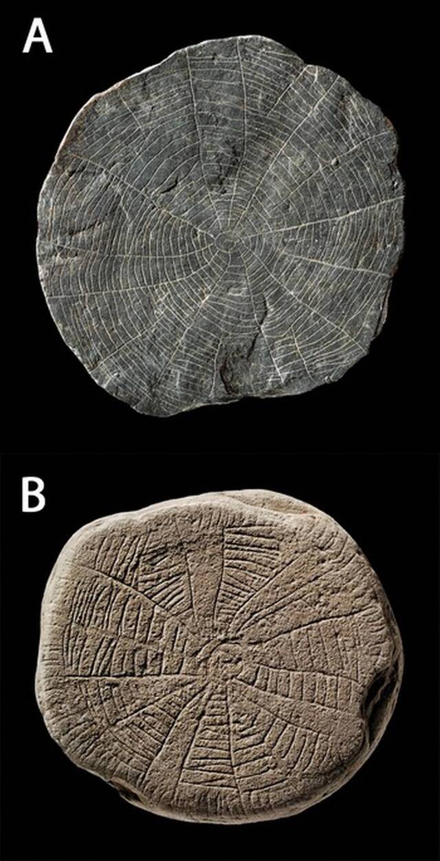 Researchers have found hundreds of these sun stones, showcasing a range of artistic motifs. (Iversen, et al., 2025, Antiquity)