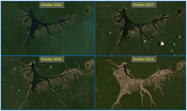 Satellite imagery comparing wetland water levels near Jamari National Forest from 2016 to 2019. The decline in water levels illustrates environmental changes affecting the habitats of rare species like Coccoloba gigantifolia.