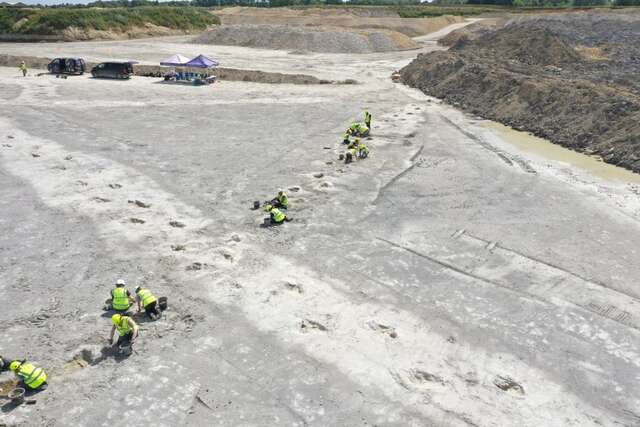 Researchers working meticulously at the Dewars Farm Quarry uncover over 200 dinosaur footprints, offering a glimpse into the Jurassic world. (Credit: Oxford University Museum of Natural History)