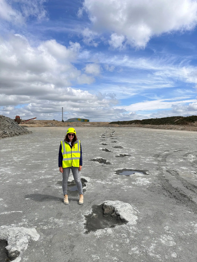 Standing alongside the perfectly preserved trackway, a paleontologist highlights the scale of the discovery at Dewars Farm Quarry. (Credit: University of Birmingham)