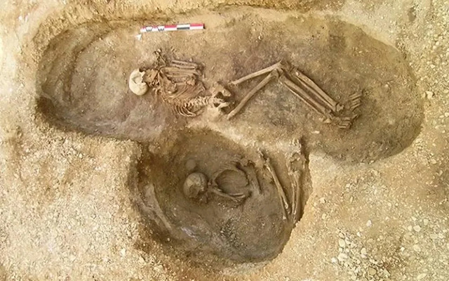 The upper skeleton of an adult male, buried approximately 6,000 years ago in present-day France, has been identified as the son of a man whose lineage includes dozens of individuals interred at the same site. (Credit: Stéphane Rottier)