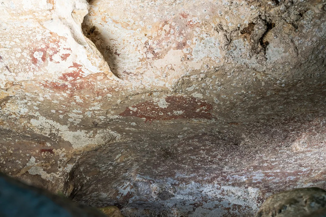 To determine the age of the cave paintings, researchers employed a groundbreaking technique to date calcium carbonate deposits layered over the artwork. (Image credit: Dominic Julian/BRIN Google Arts)