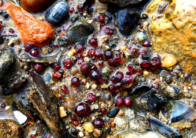 Thames garnets are typically found in specific, secretive locations along the riverbank, their whereabouts carefully guarded by experienced mudlarks. (Courtesy Jason Sandy)