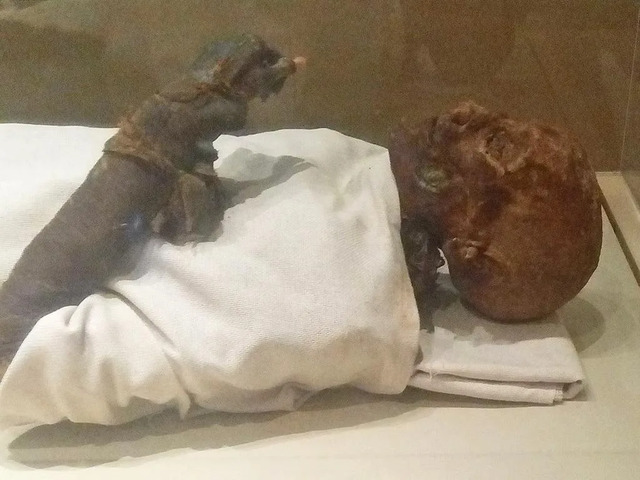 The KV60A mummy, believed to be that of the legendary Queen Hatshepsut, offers insights into ancient Egyptian royalty. (Credit: Vrangel1924, CC BY-SA 4.0)