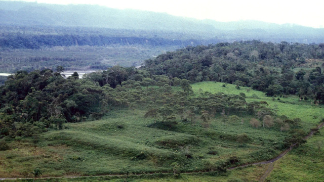 The Nijiamanch site in Ecuador features a fascinating complex of rectangular earth platforms perched along the cliff edge of the Upano riverbed.