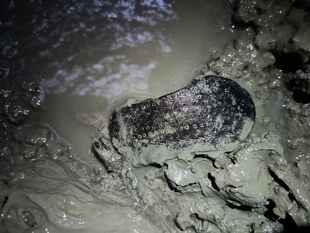 The Roman sandal, discovered in the well at Lucus Asturum, remarkably preserved after 2,000 years thanks to the anaerobic conditions at the bottom of the well.