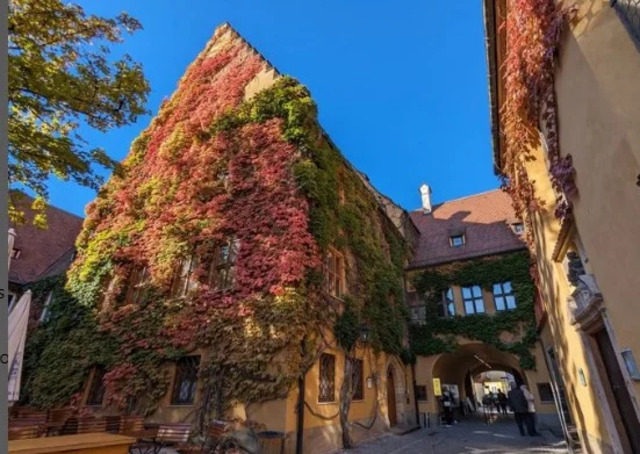 The apartments in Fuggerei, beautifully enveloped by lush green creepers, exude timeless elegance.