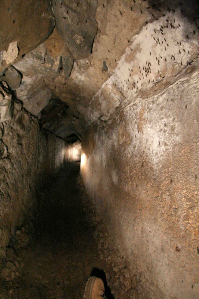 The channel atop a fallen aqueduct bridge has collapsed into a creek, exposing its opus signinum interior, a hallmark of Roman engineering.