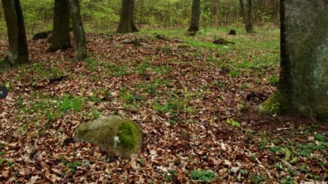 The remains of an ancient tomb near Dolice, captured in its current state.