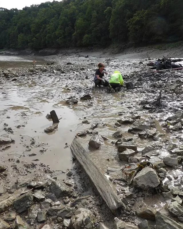 Timber samples were collected from the bridge and will undergo carbon dating to determine its precise age.