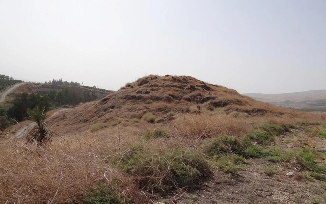 Ubeidiya archaeological site, nestled in the Jordan Rift Valley, serves as one of the earliest Acheulean locations outside Africa, shedding light on the migration of Homo erectus.