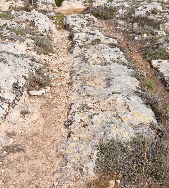 Unveiling Malta’s Mysterious Cart Tracks