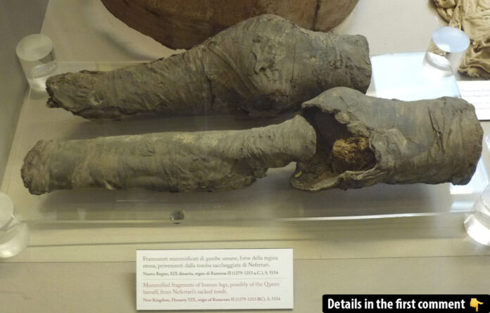 New research suggests that a pair of dismembered mummy legs discovered in Queen Nefertari’s tomb (QV66) in the Valley of the Queens may actually have belonged to the queen herself.