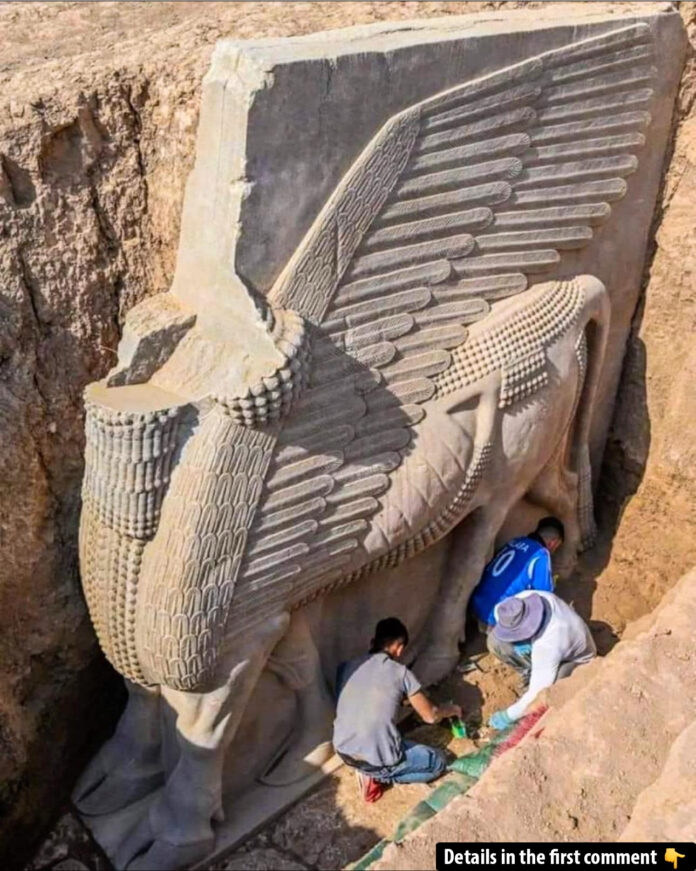 Rediscovering Ancient Majesty: The 2,700-Year-Old Winged Lamassu Unearthed in Iraq