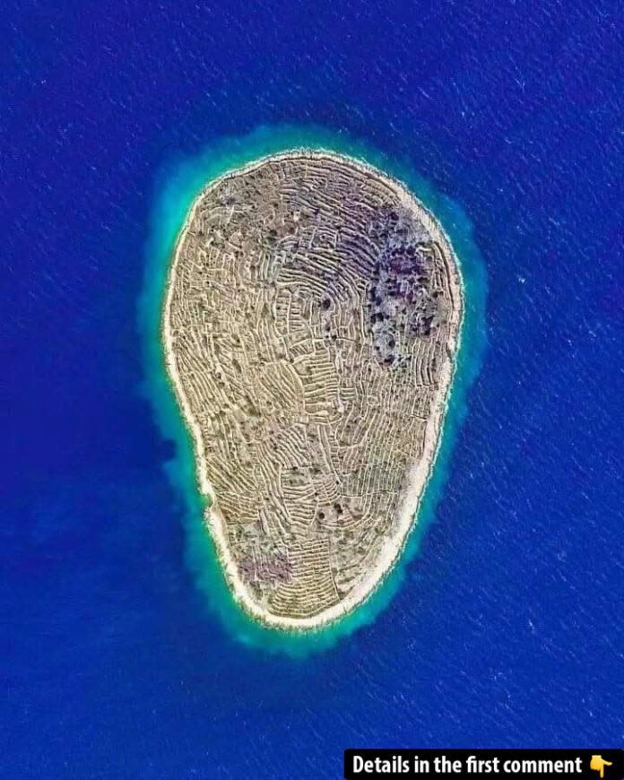 The Hidden Story Behind Baljenac Island: Croatia’s Breathtaking “Fingerprint of the Sea