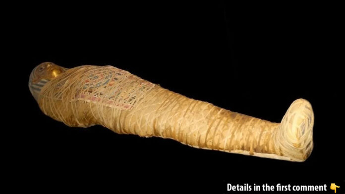 Could a 250 B.C. Egyptian mummy, like this one, still harbor pathogens capable of infecting people today? (Credit: World History Archive via Alamy)