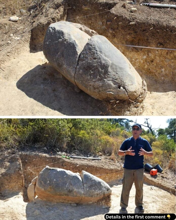 Unearthing the Past: The 5,500-Year-Old Menhir of São Brás de Alportel