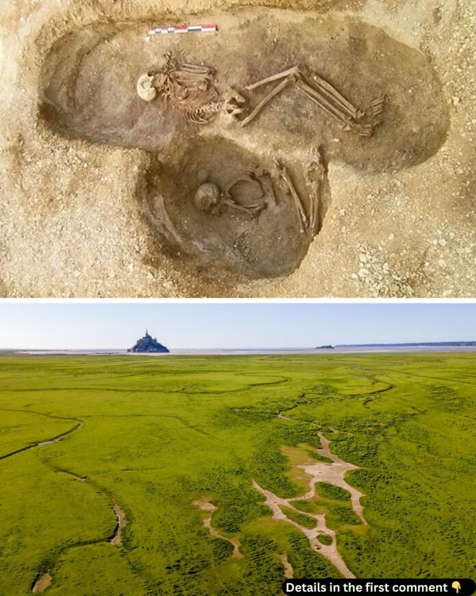 Unearthing the Past: The Largest Neolithic Family Tree in France