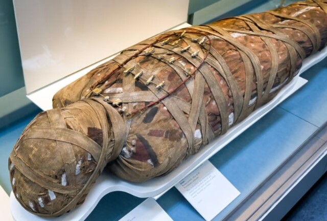 Though ancient mummies aren’t responsible for modern epidemics, they’ve profoundly enriched our understanding of medicine and history.